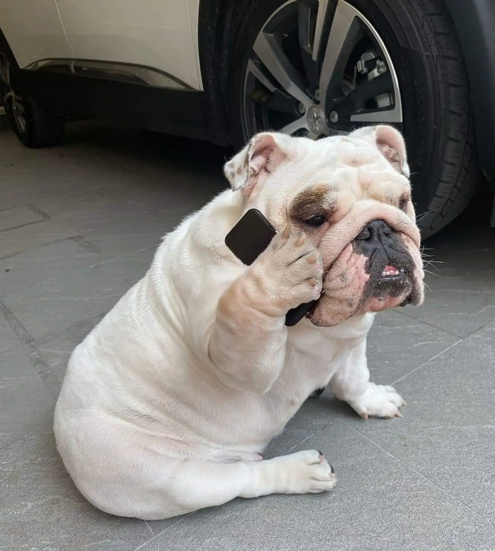 ����, ��� ������