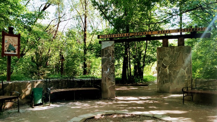 Серебряный бор. Москва Достопримечательности, Москва, Культура, Парк, Природа, Длиннопост