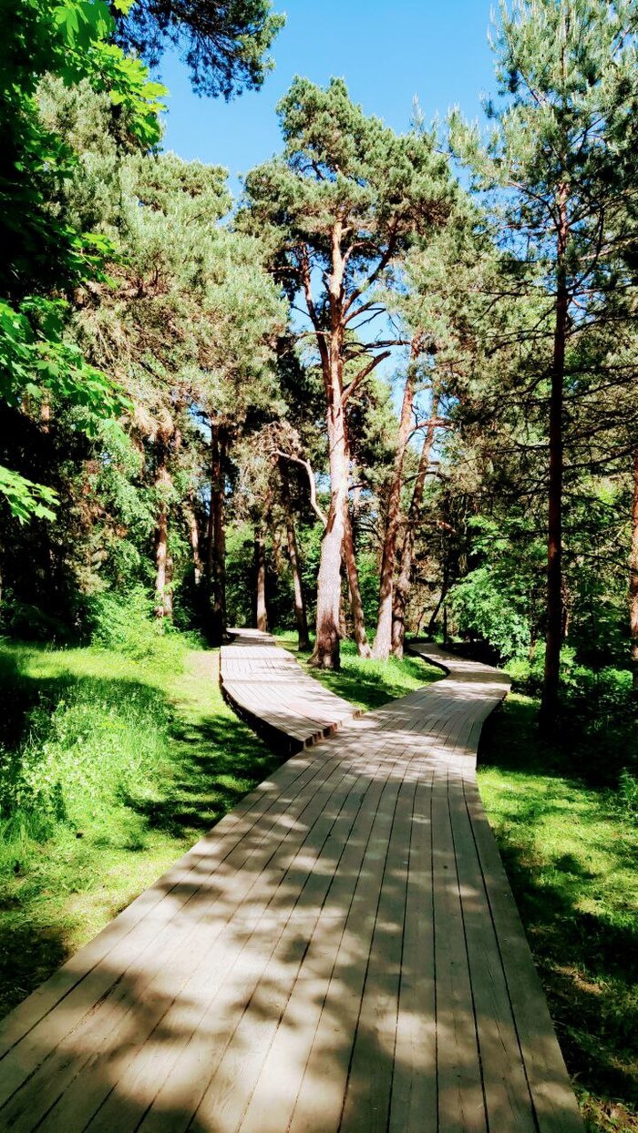 Серебряный бор. Москва Достопримечательности, Москва, Культура, Парк, Природа, Длиннопост