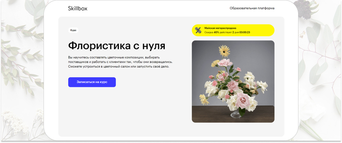 15 -     2024  , -, , ,  , ,  ,   (), YouTube (), 