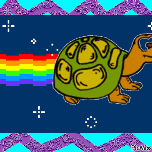 Nyan turtle