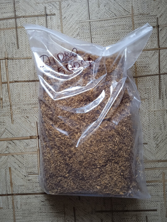 Вирджиния Д.ОРО Индия от Галереи Дыма