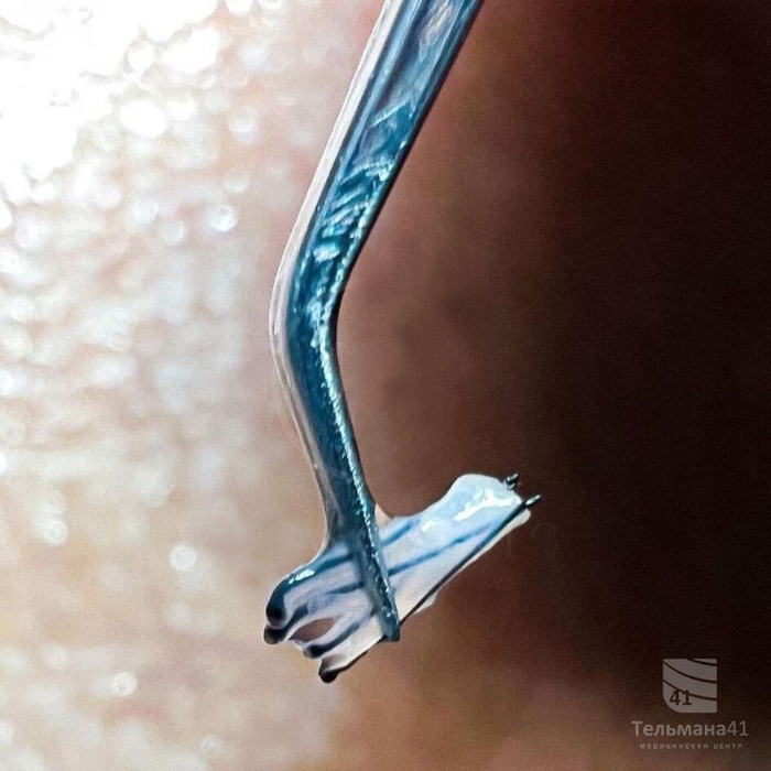 ��������� �����