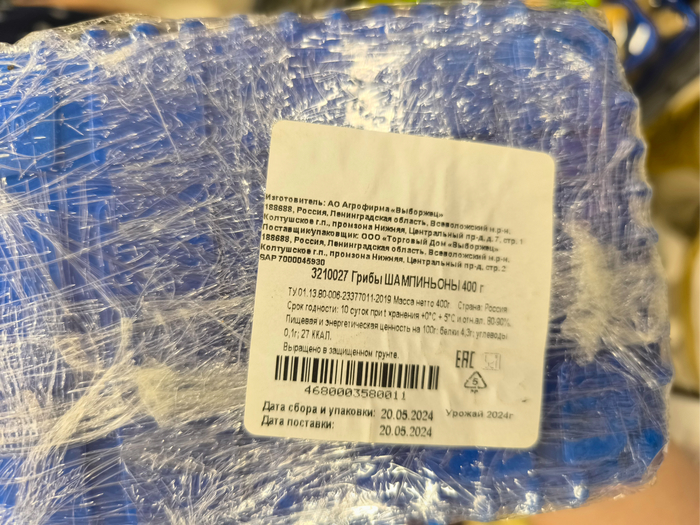 ��� ��� ���������