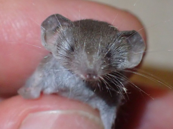  :  -74  600   ,   3    .