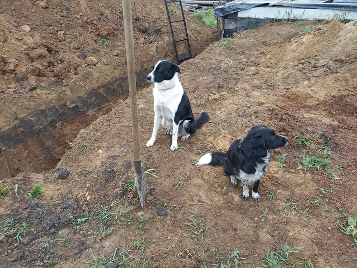 "Вскопаль он... Ваабчета, мы вместе копали!"