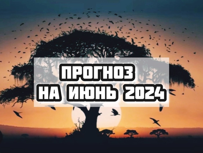    2024  , , , , 2024, 