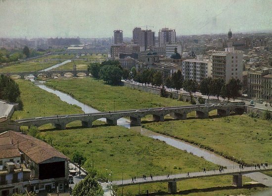 Старое русло реки Турия (до 1972 года)