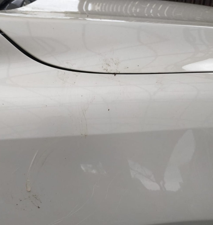 Поцарапали машину