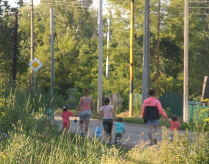 Фото с шакалами, знаю. )) По одному они никогда не перемещались, только толпой.