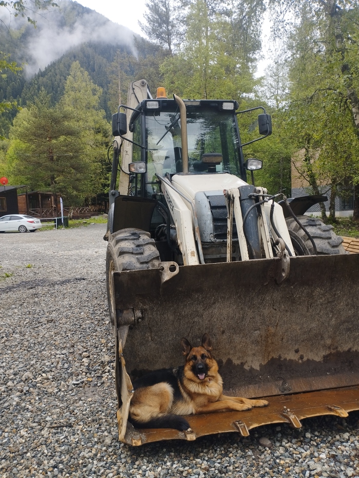 Зверь в ковше зверя
