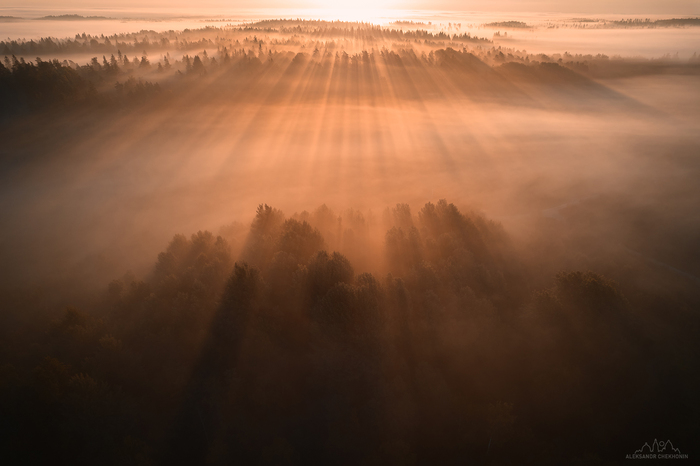Одним туманным утром