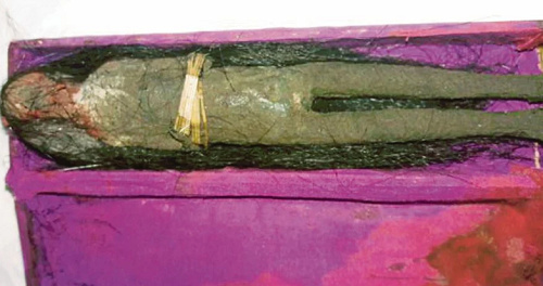 ���������, ��������� �� ����� ������ � �������� (����������)