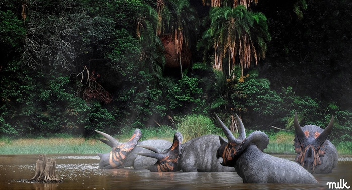 Подсматривающий