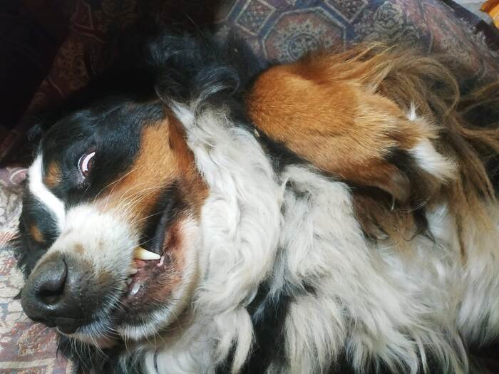 � ����� ��� ����� ����))!