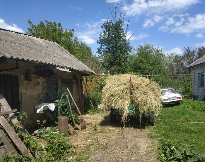 ������ ����� ��� ������.