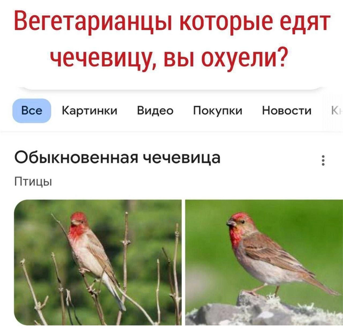 Есть вегетарианцы тут?