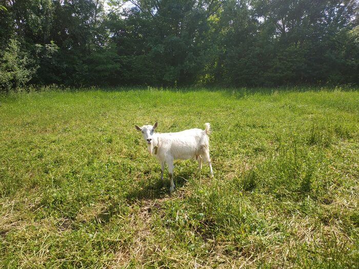 �������� ����.