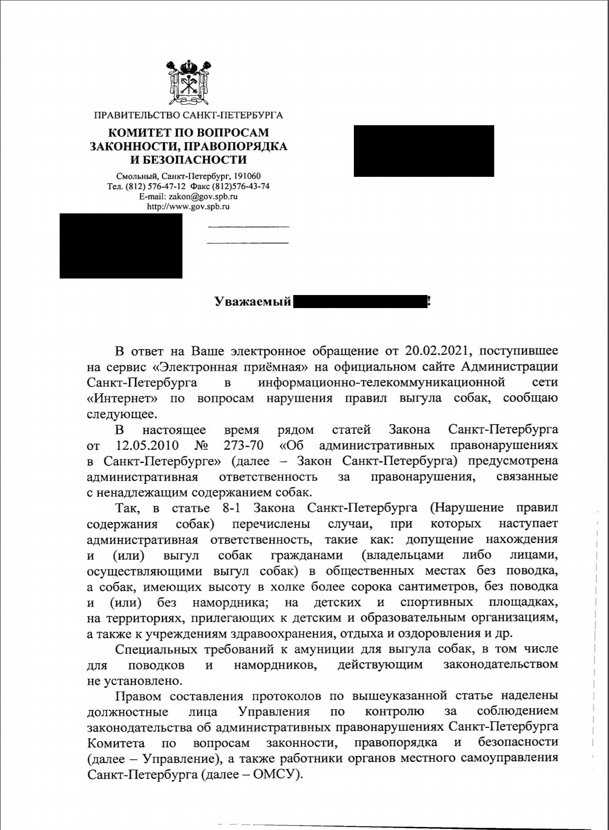 Ответ правительства Санкт-Петербурга о лабрадорчике | Пикабу