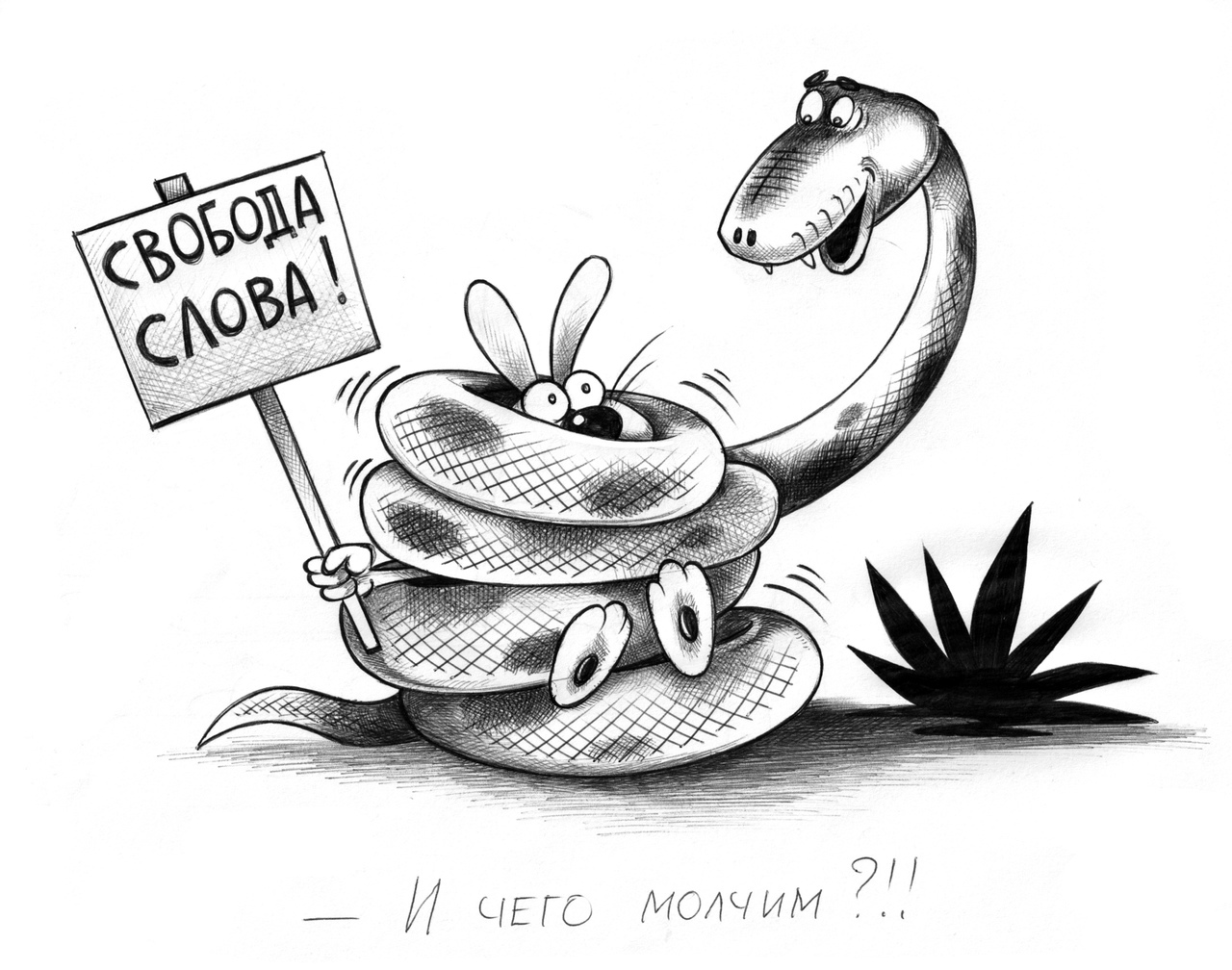 Свобода слова | Пикабу