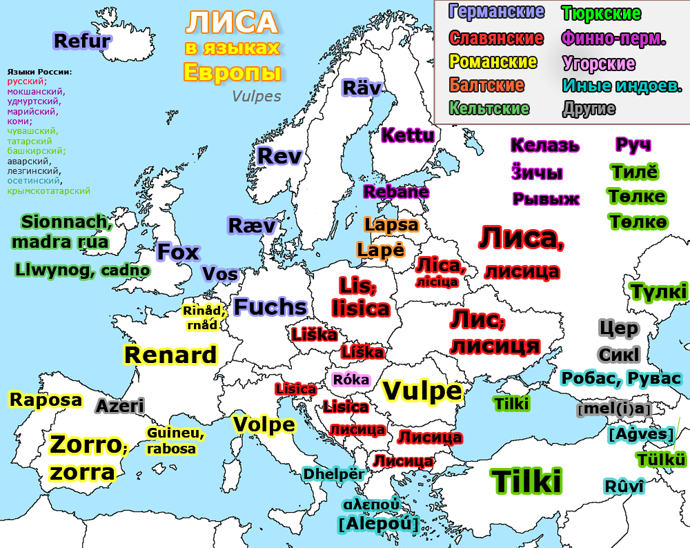 Слова европейских языков. Карта языков Европы. Группы языков Европы. Карта languages in Europe. Славянские языки карта.