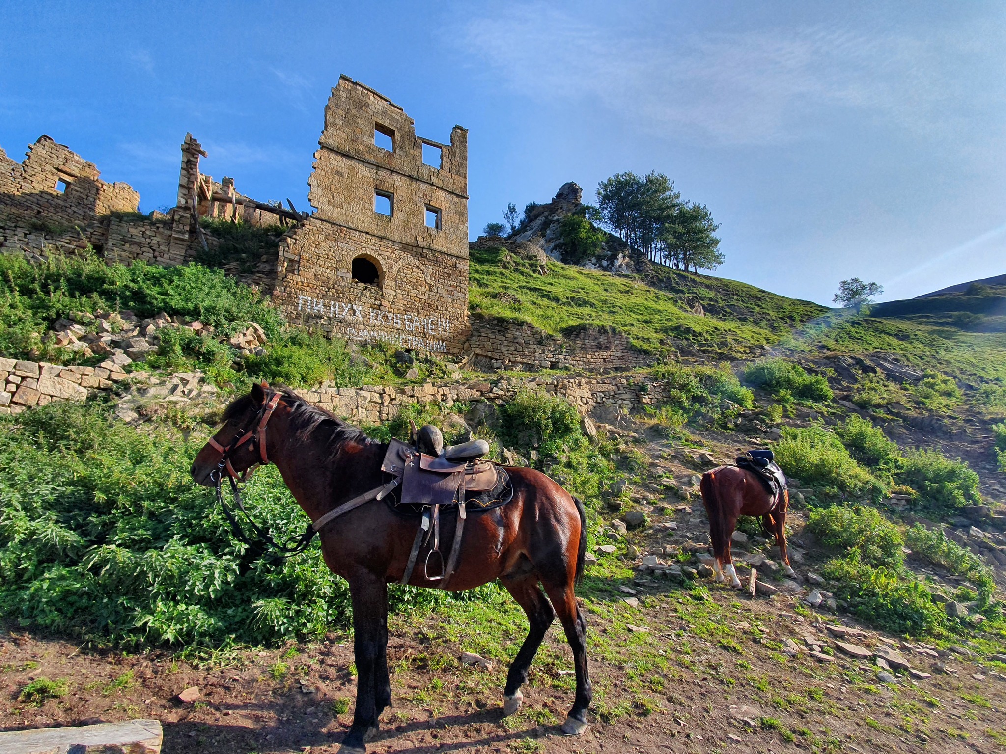 Гамсутль старые фото