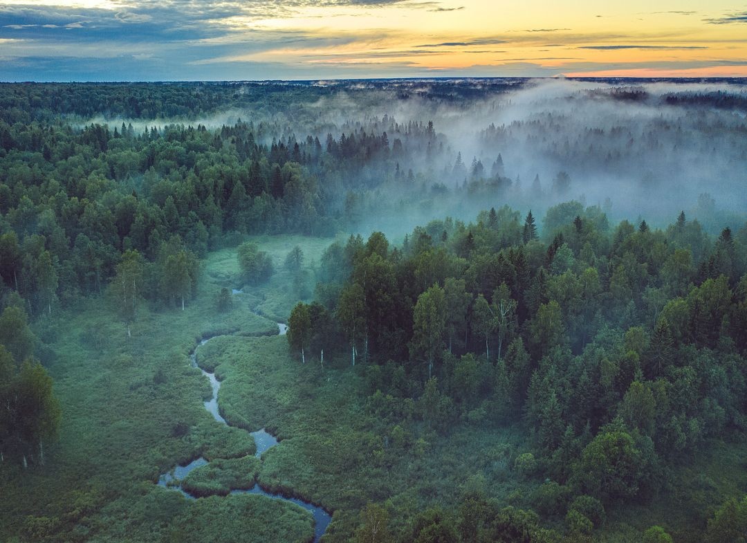 Природа России Лес Фото