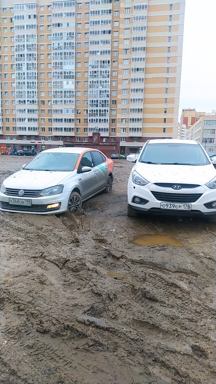 Парад говноедов | Пикабу