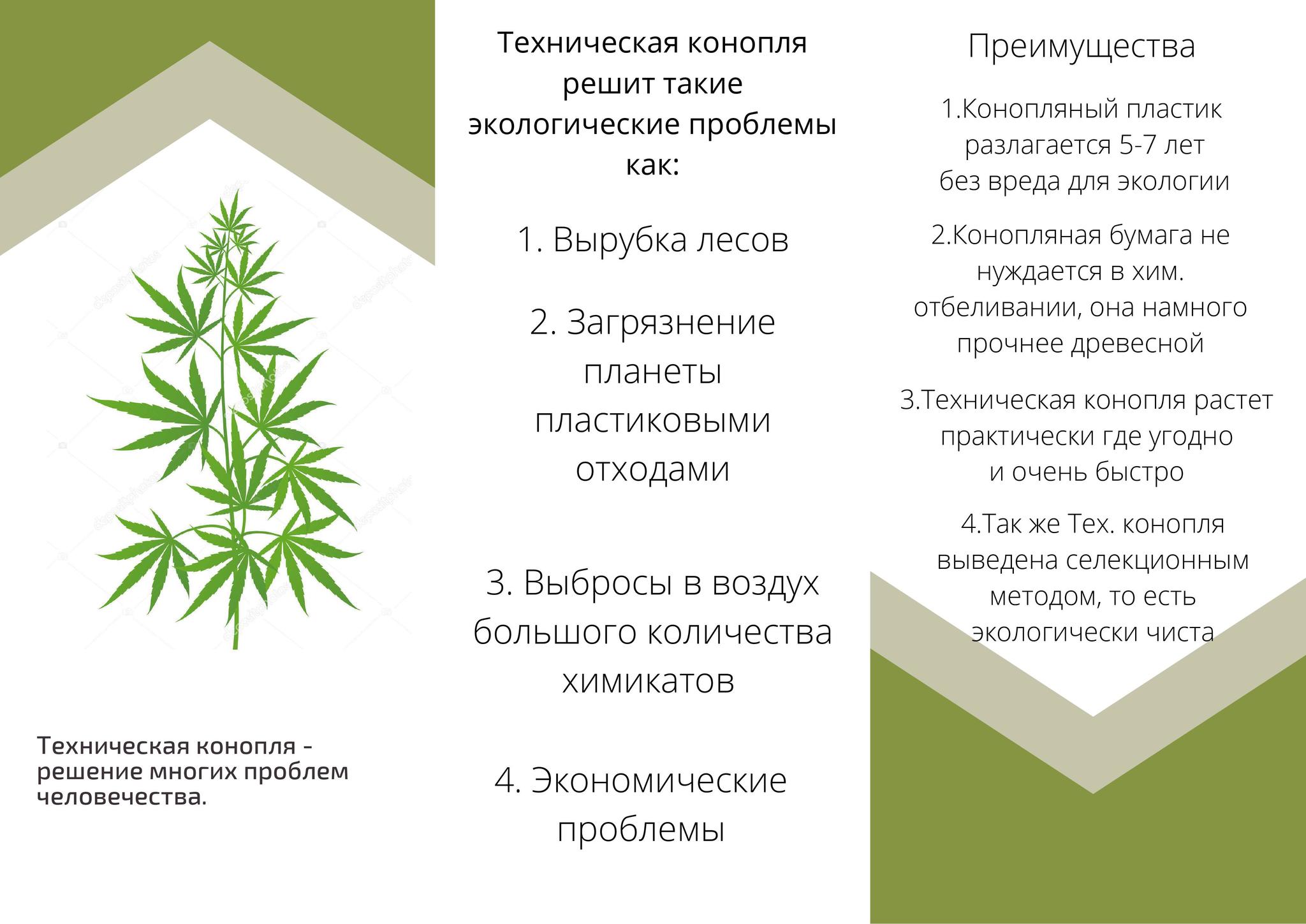марихуана и польза