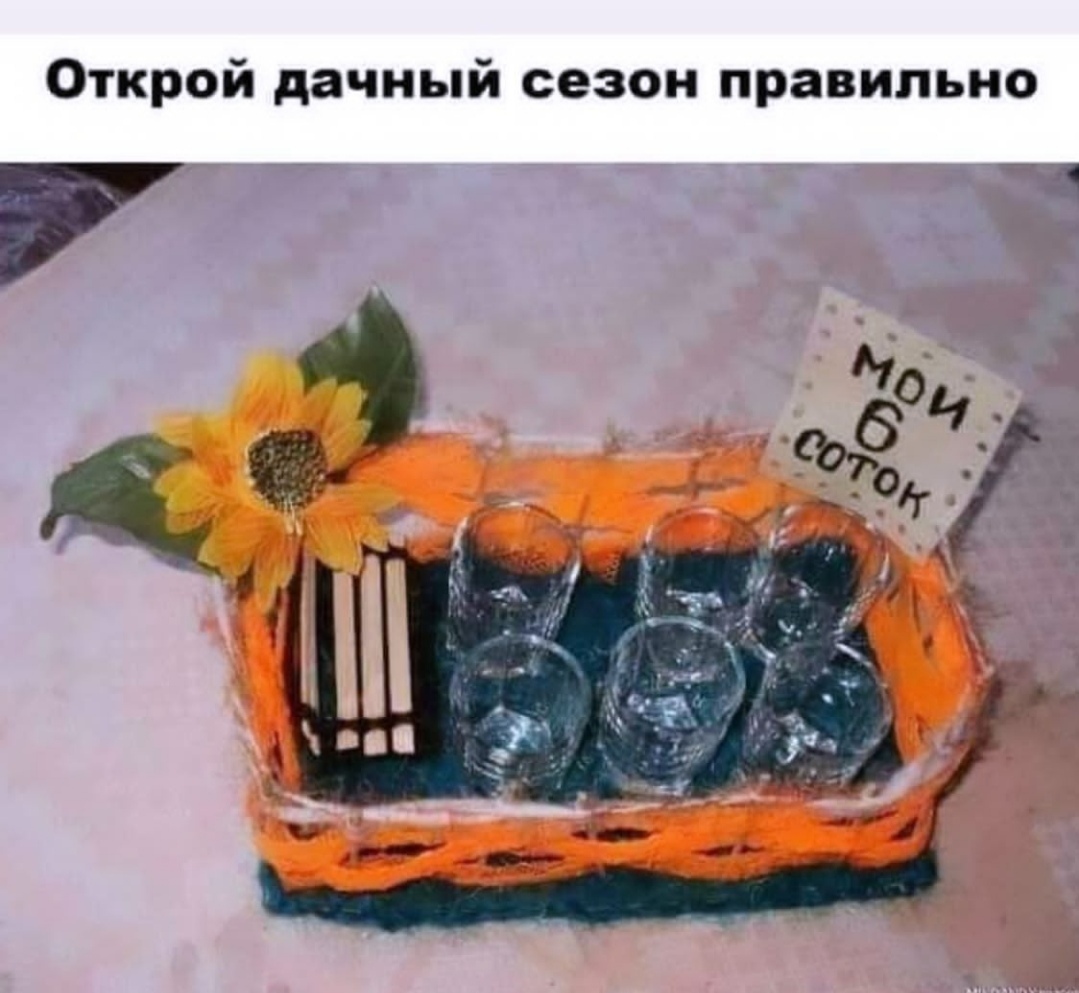 МИР ТРУД МАЙ | Пикабу