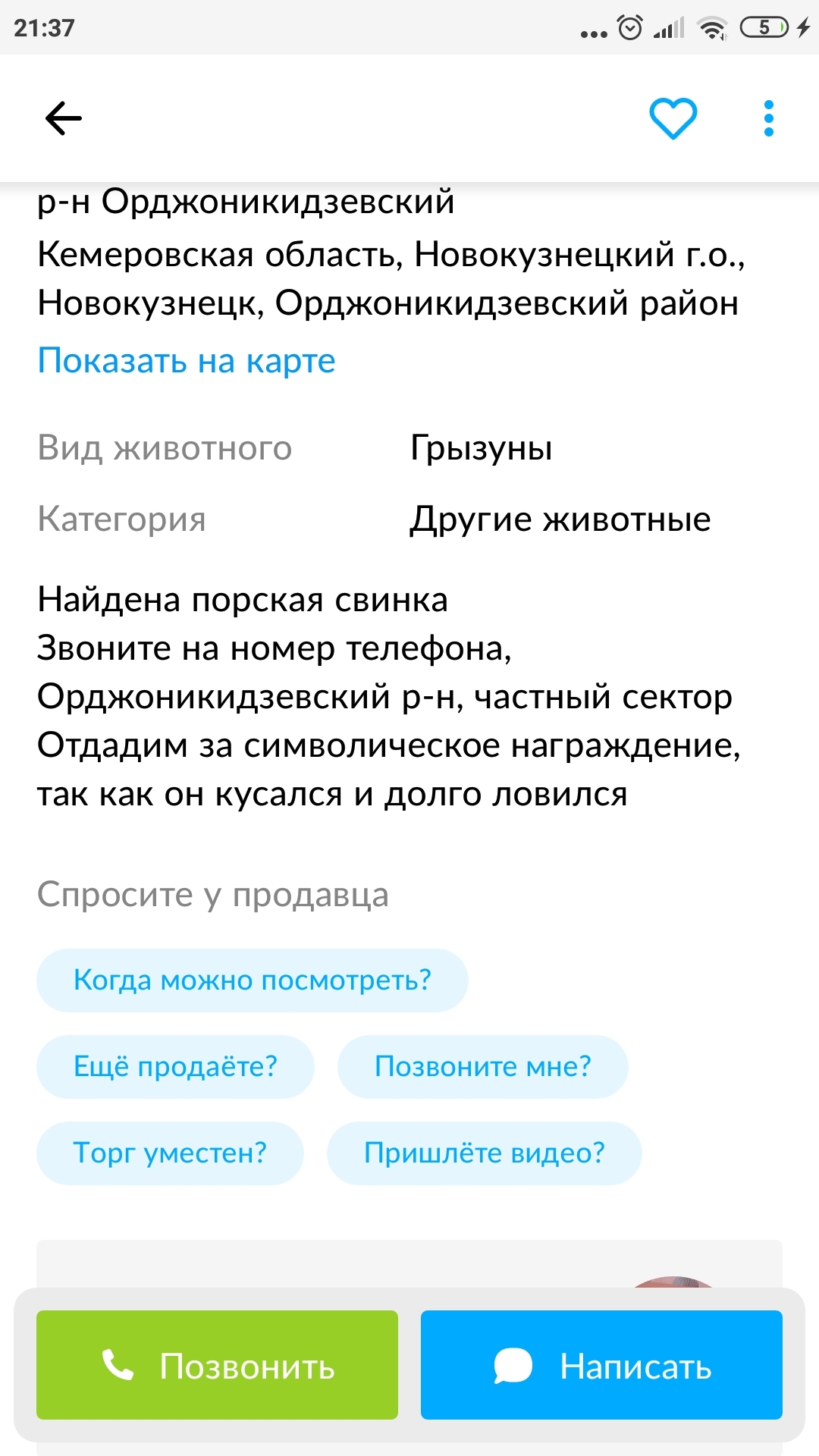 "Морская свинка" | Пикабу