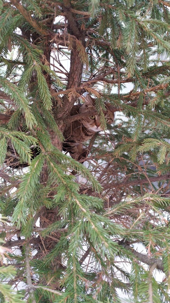 Vika73 — все посты пользователя по времени