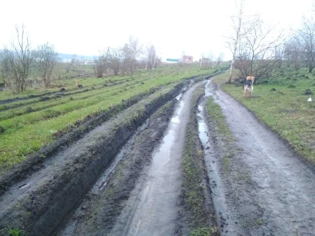 Отпуск в деревне | Пикабу