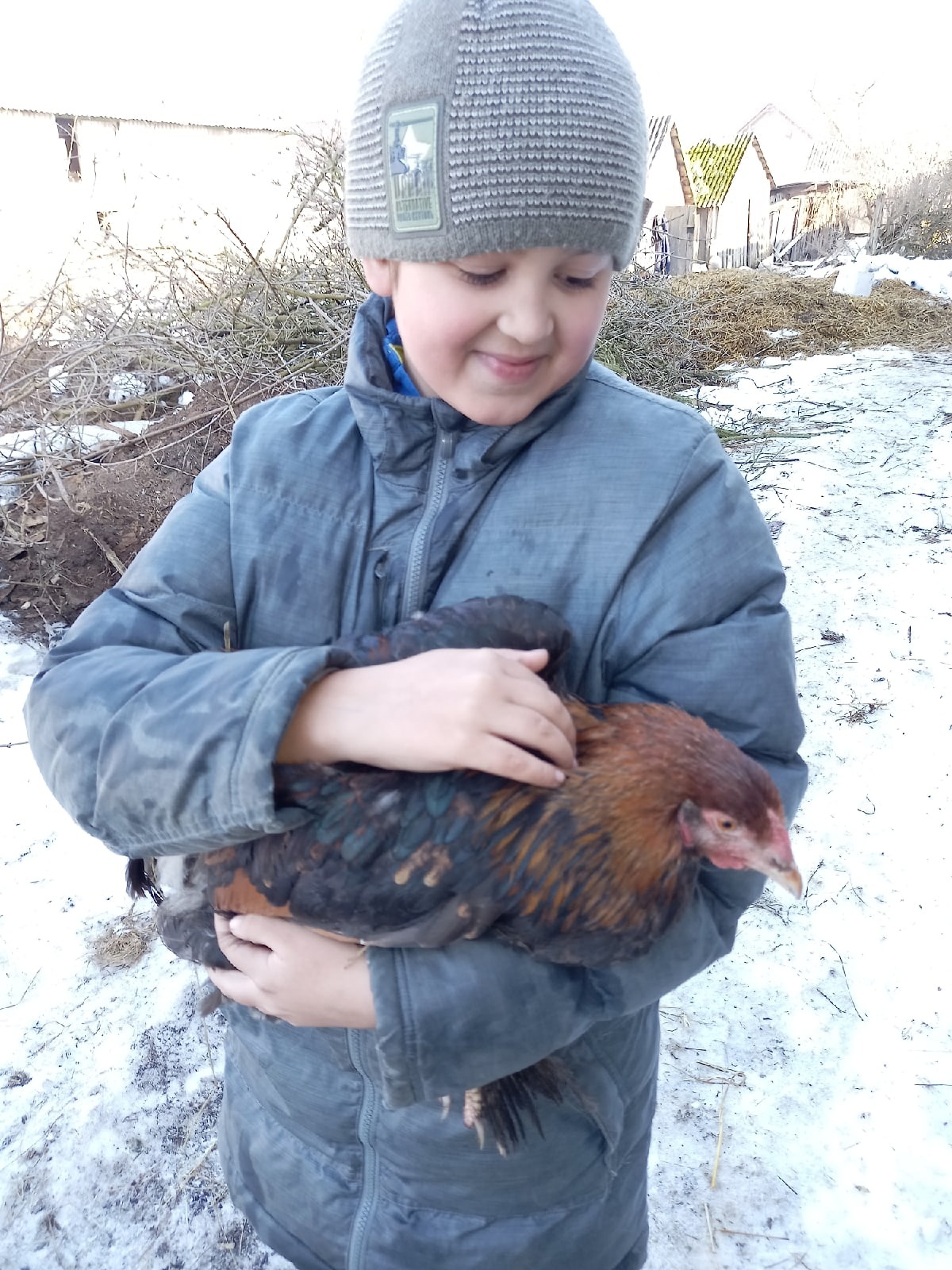 10-летний Алик выращивает цыплят в маленькой квартире чтобы помочь  родителям накопить на ипотеку | Пикабу