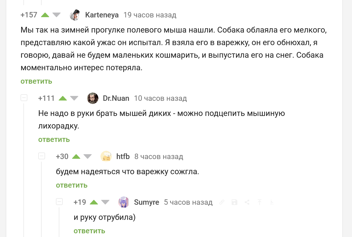 Про мышиную лихорадку | Пикабу