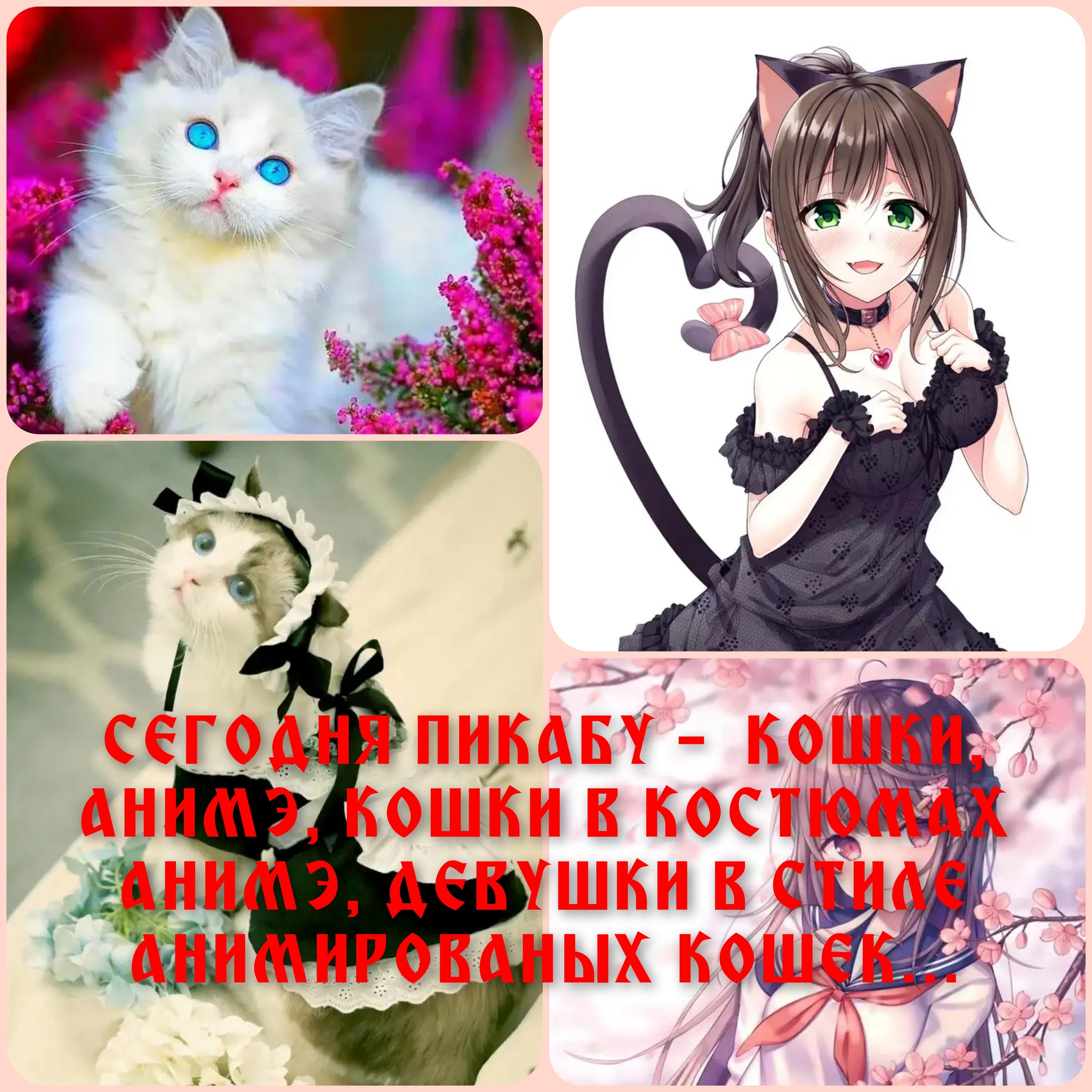 Сегодня ПИКАБУ | Пикабу