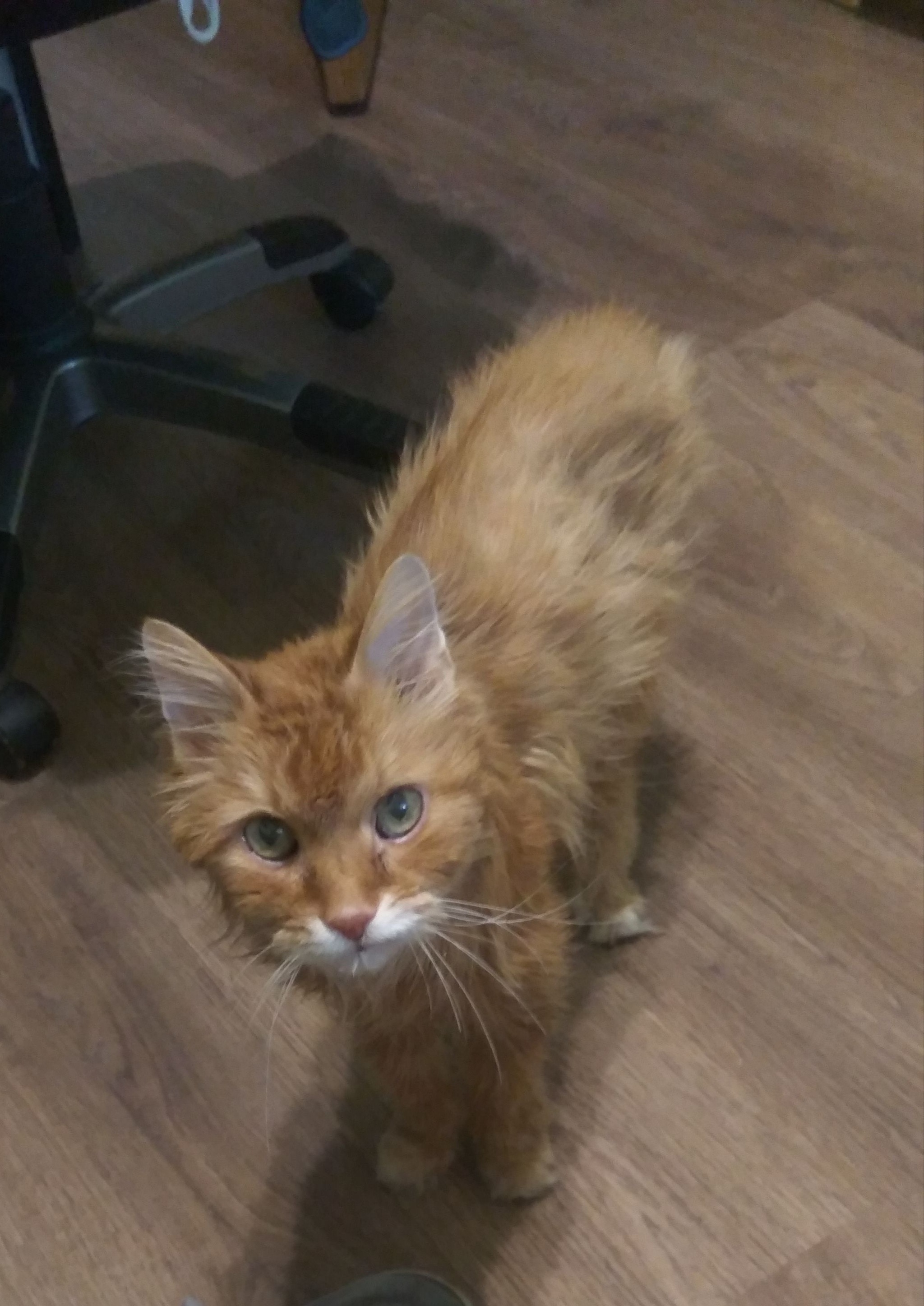 son prosto grustnyj son pikabu