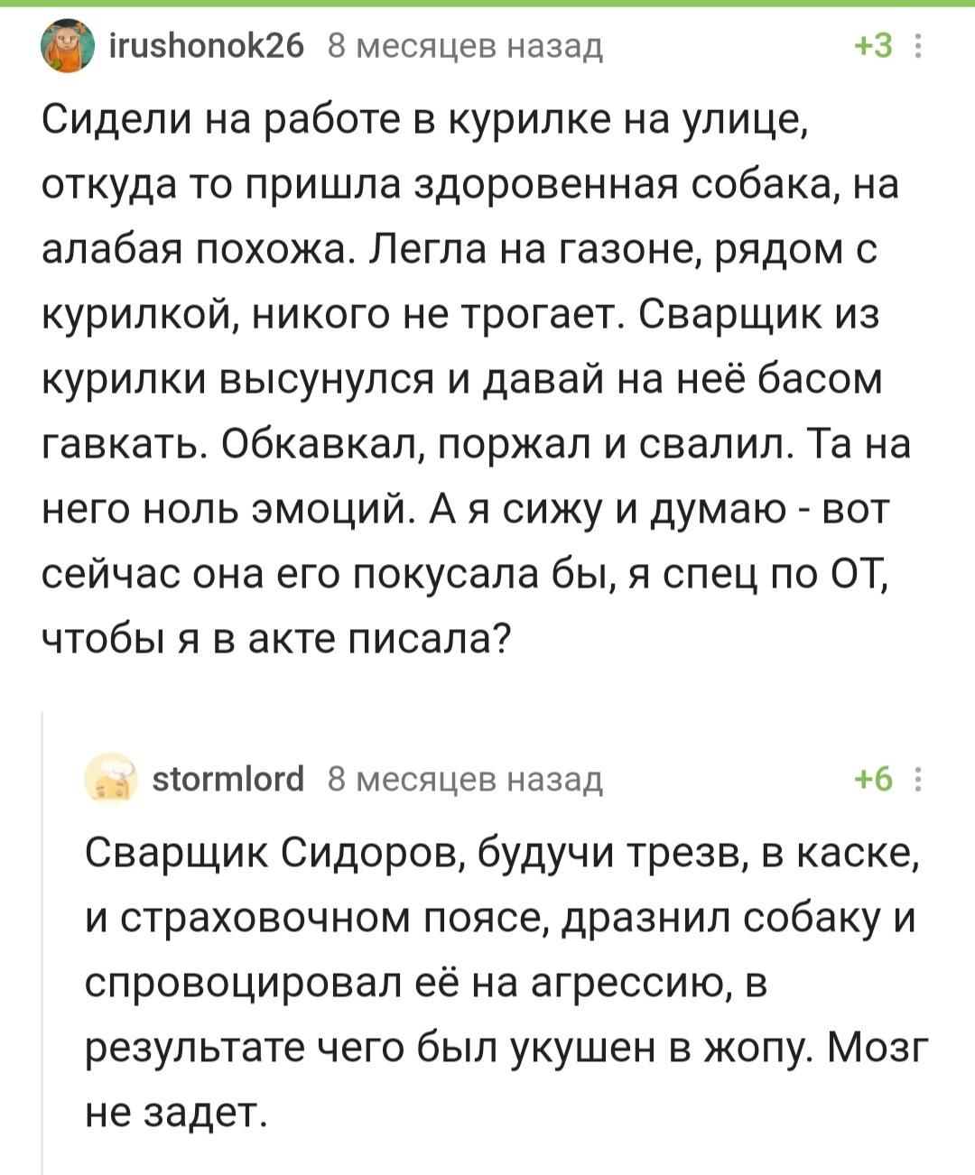 Укусит? Пффф, да я сам вчера ротвейлера покусал! | Пикабу