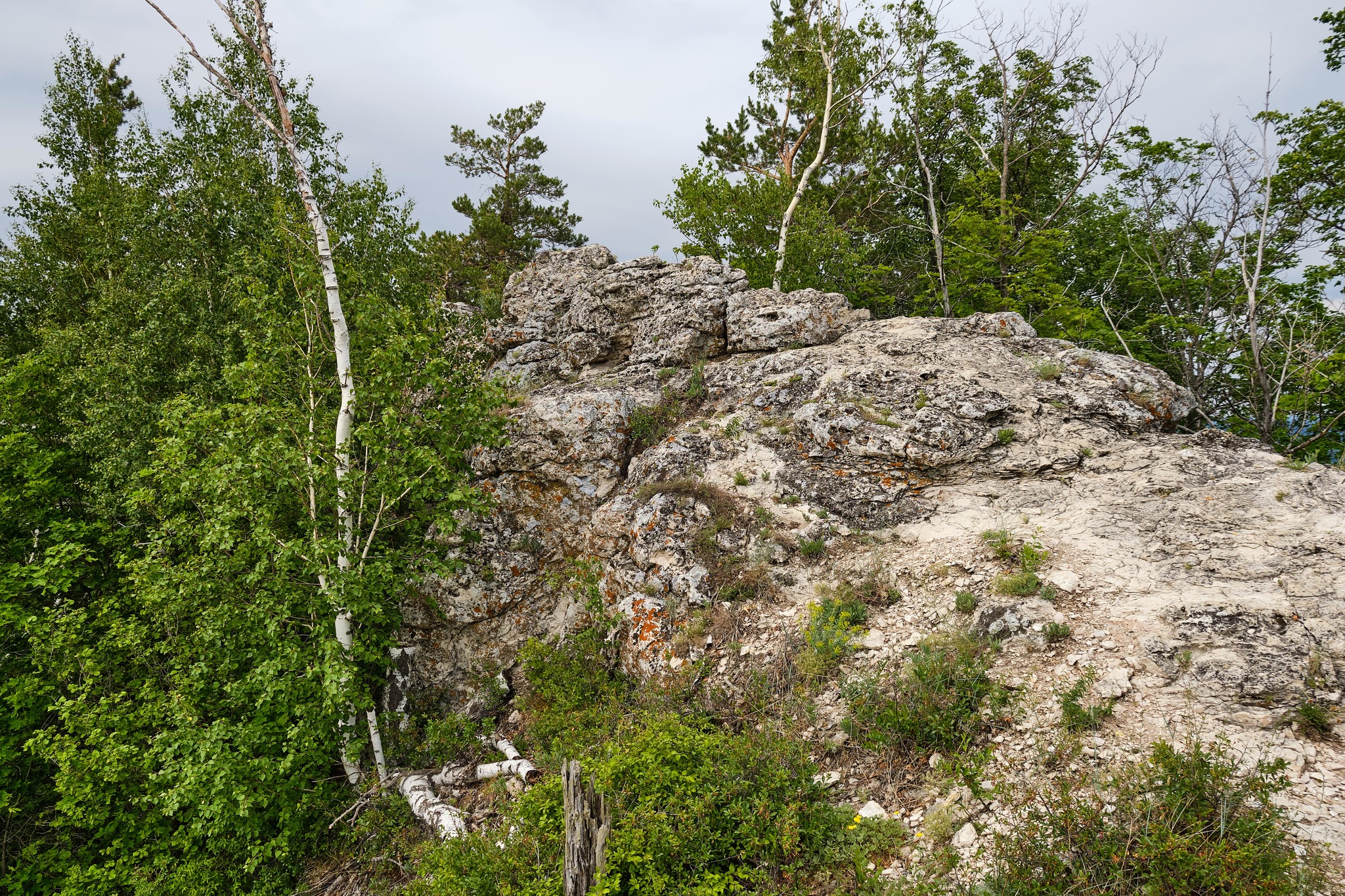 Прогулки по Самаре, Муравьиные острова, самарская Лука | Пикабу