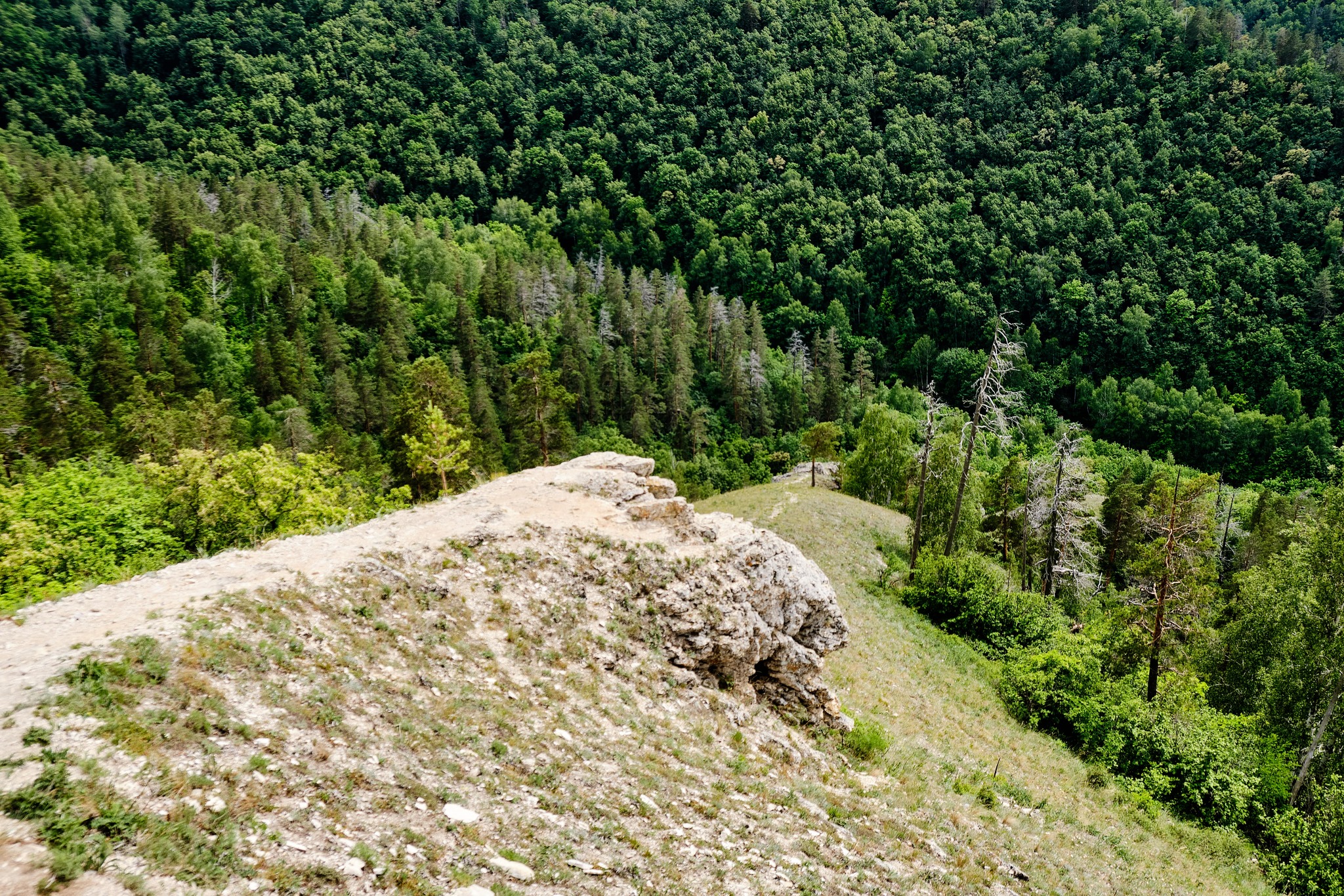 Прогулки по Самаре, Муравьиные острова, самарская Лука | Пикабу