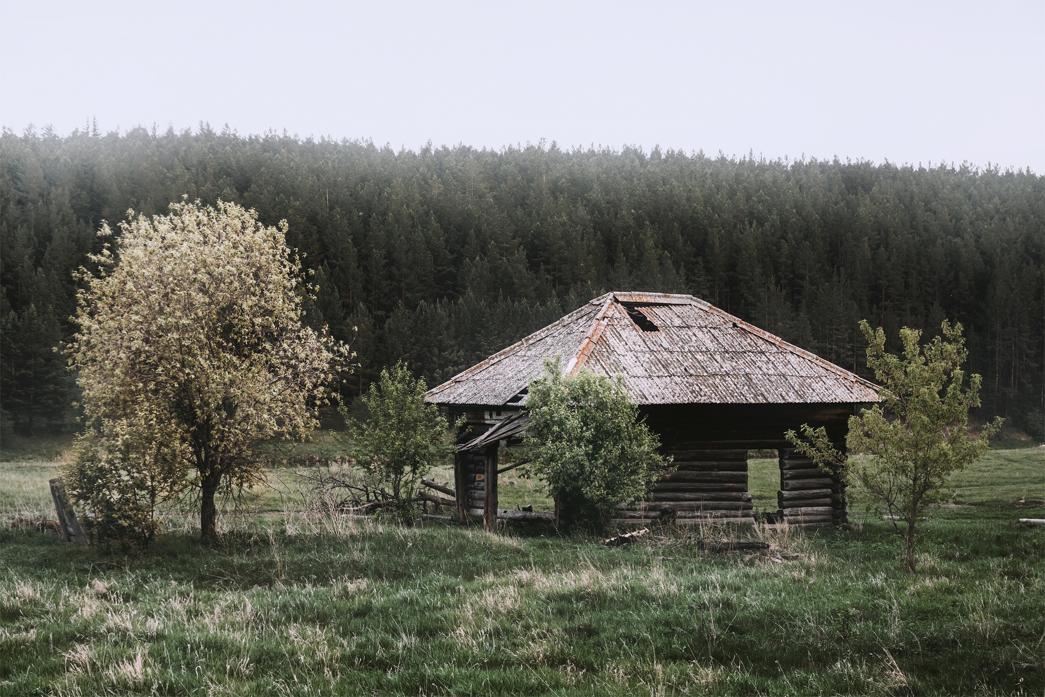 В глубинке гибнет русская душа | Пикабу