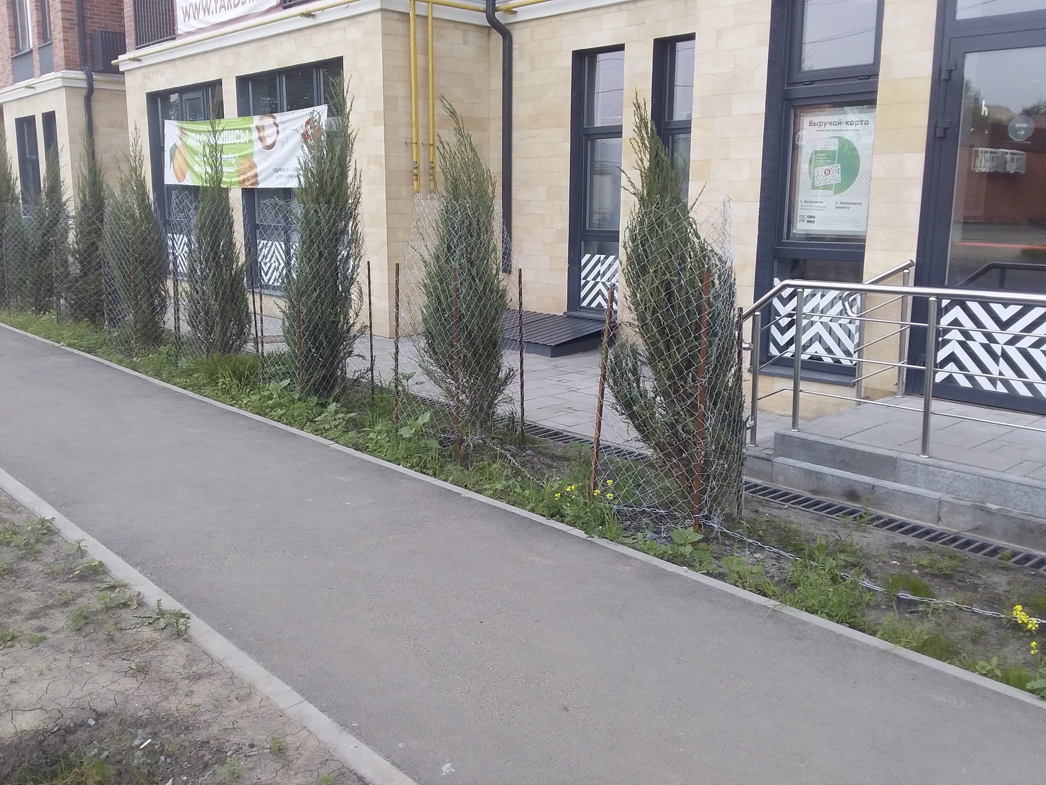 Скованные одной цепью | Пикабу