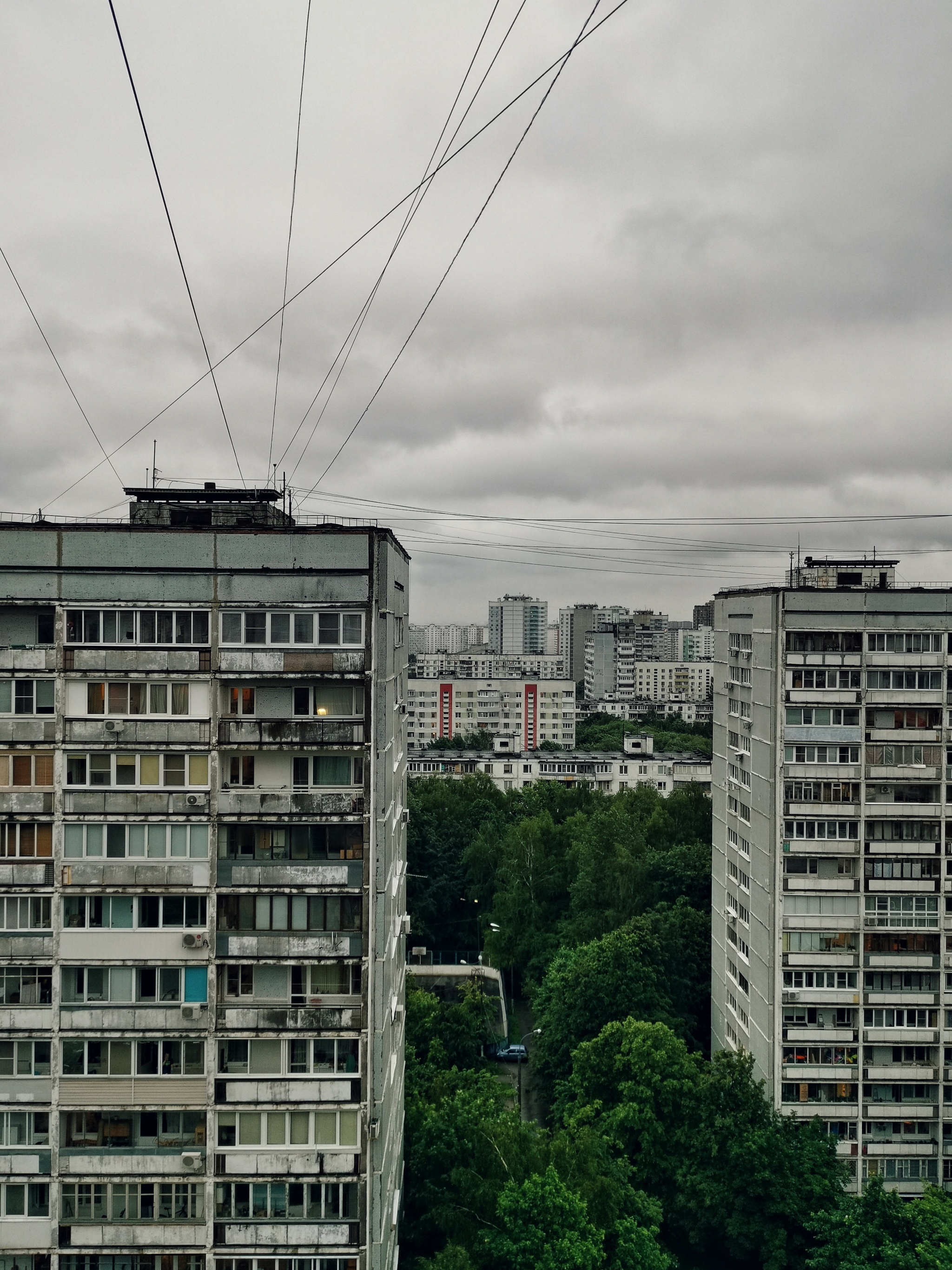 Панельные скалы в зелёных волнах | Пикабу