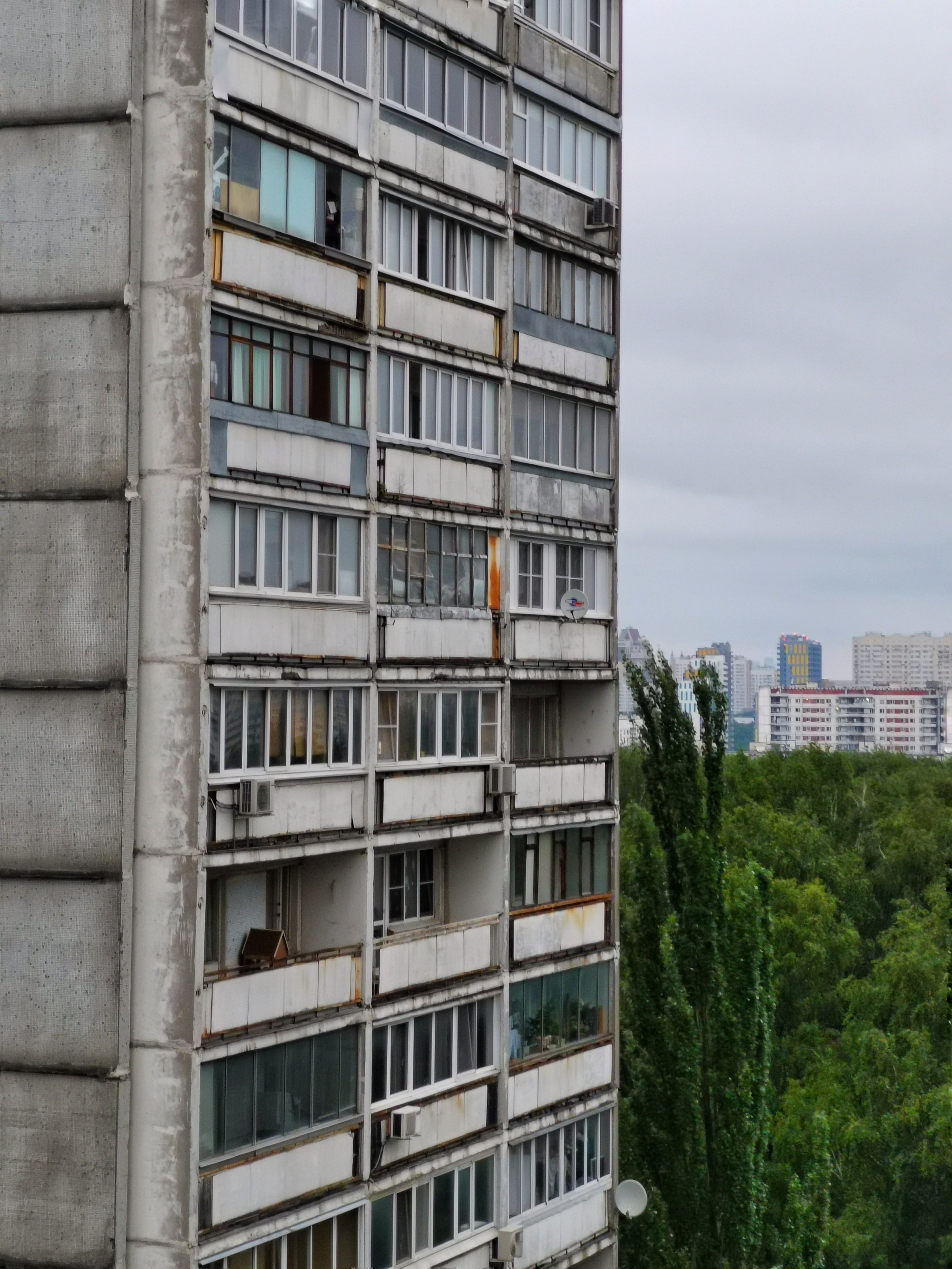 Панельные скалы в зелёных волнах | Пикабу