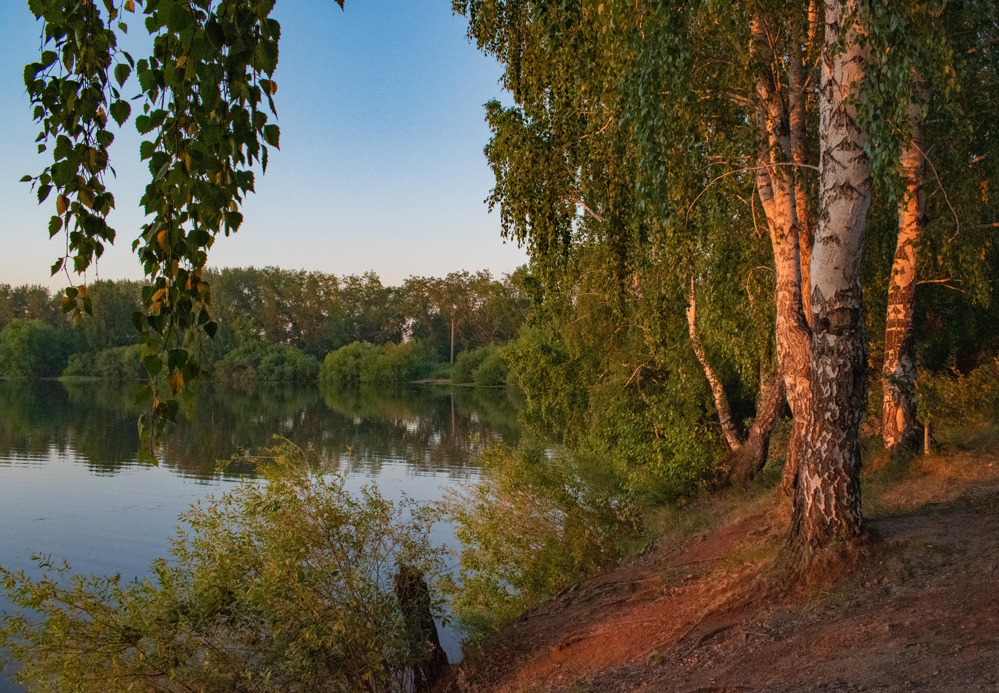 Карпов пруд челябинск фото