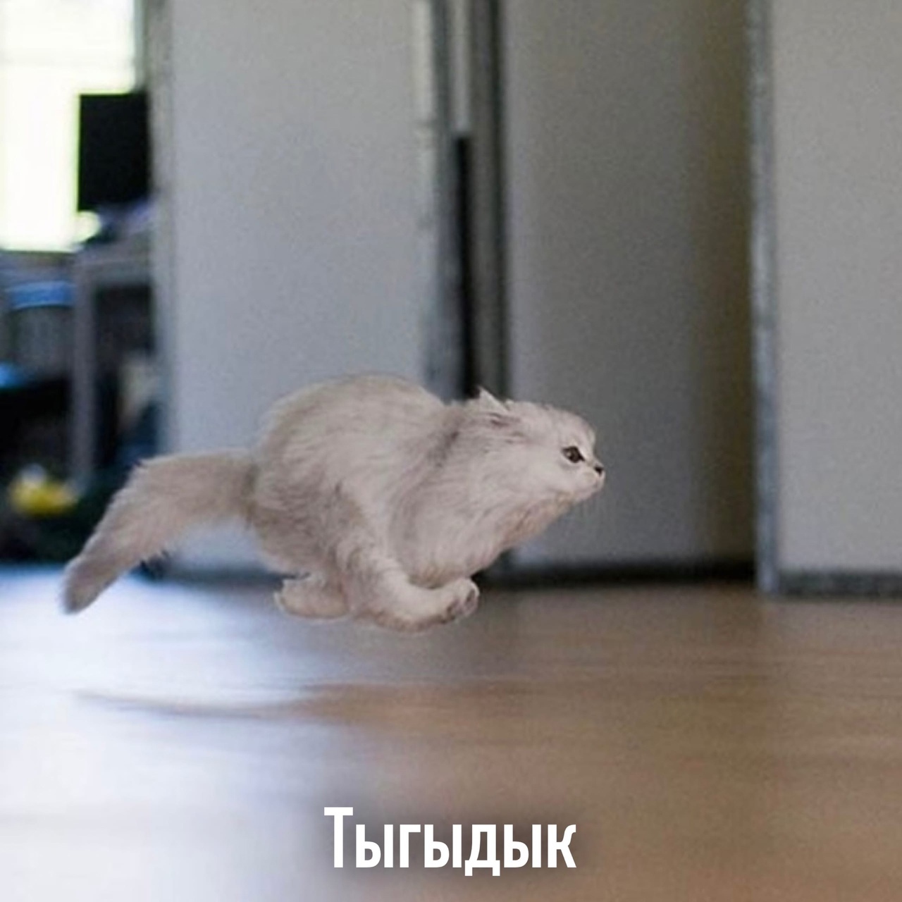 Некоторые разновидности тыгыдык | Пикабу