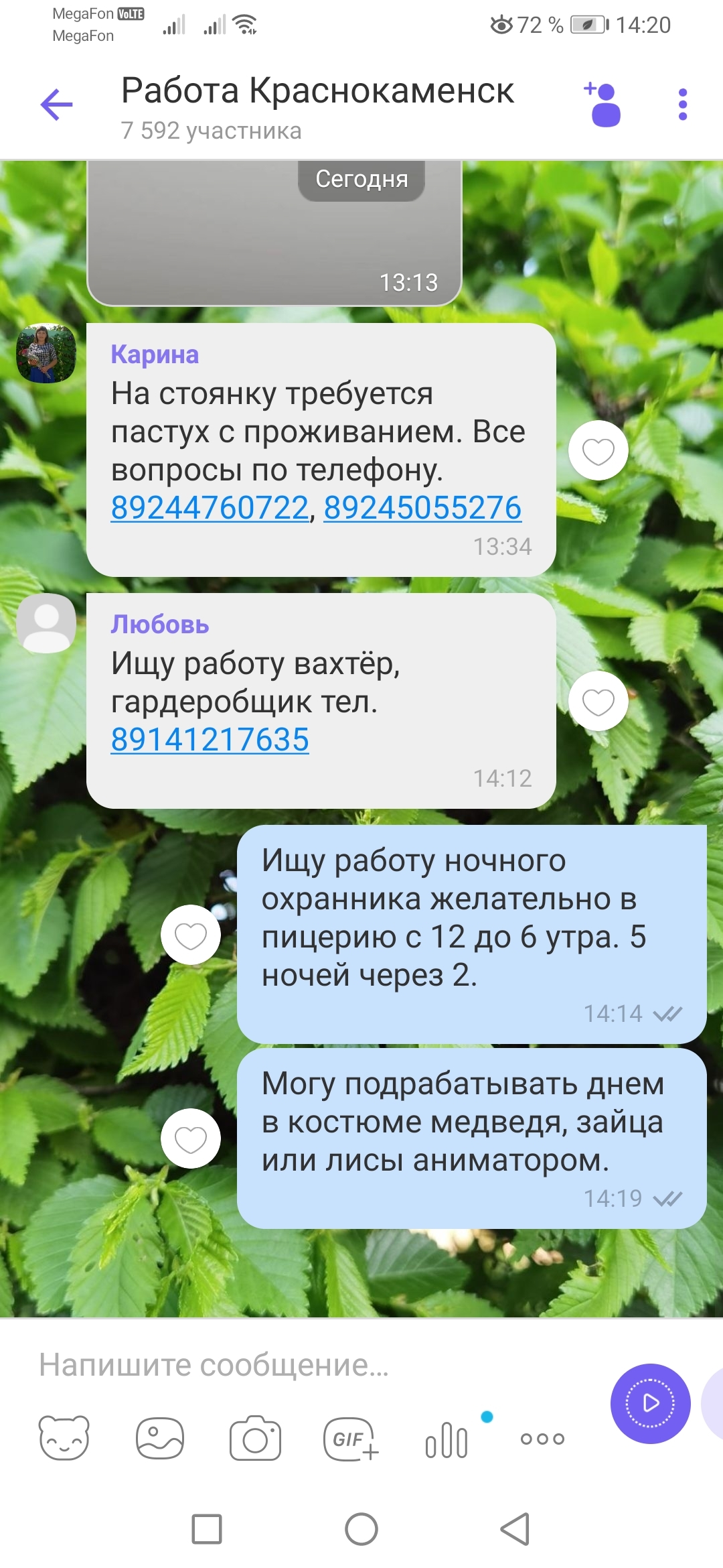 Ищу работу | Пикабу