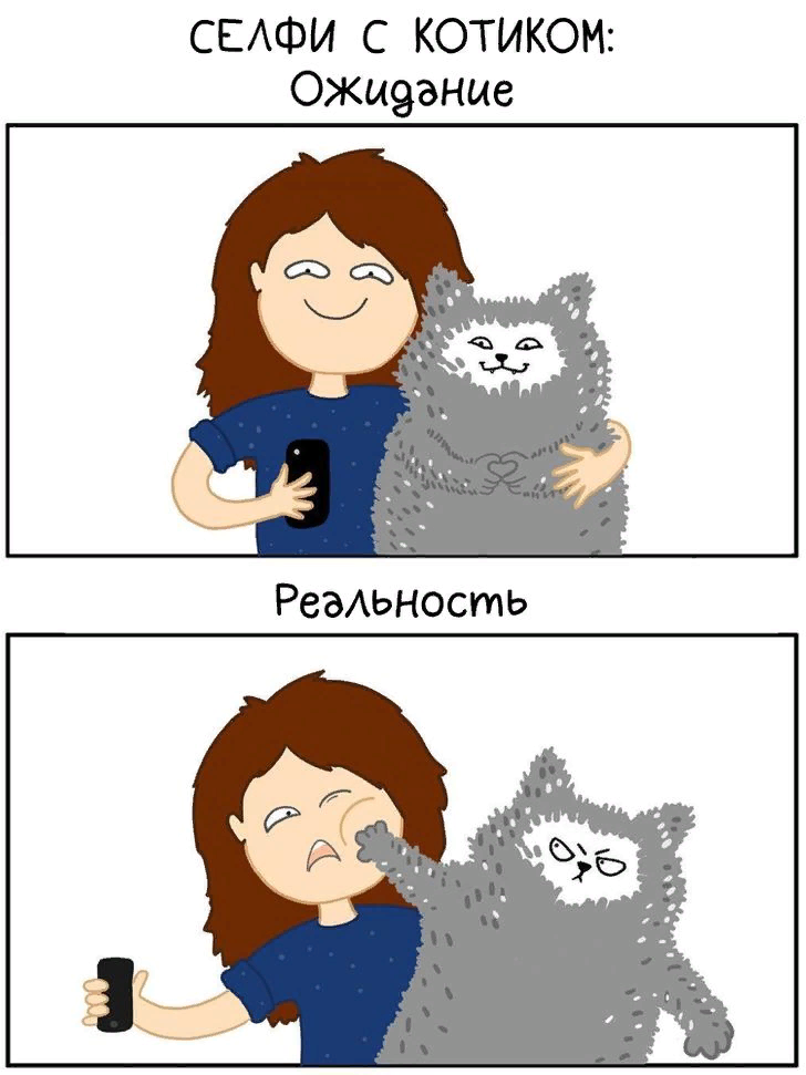 Ох уж эти котики | Пикабу