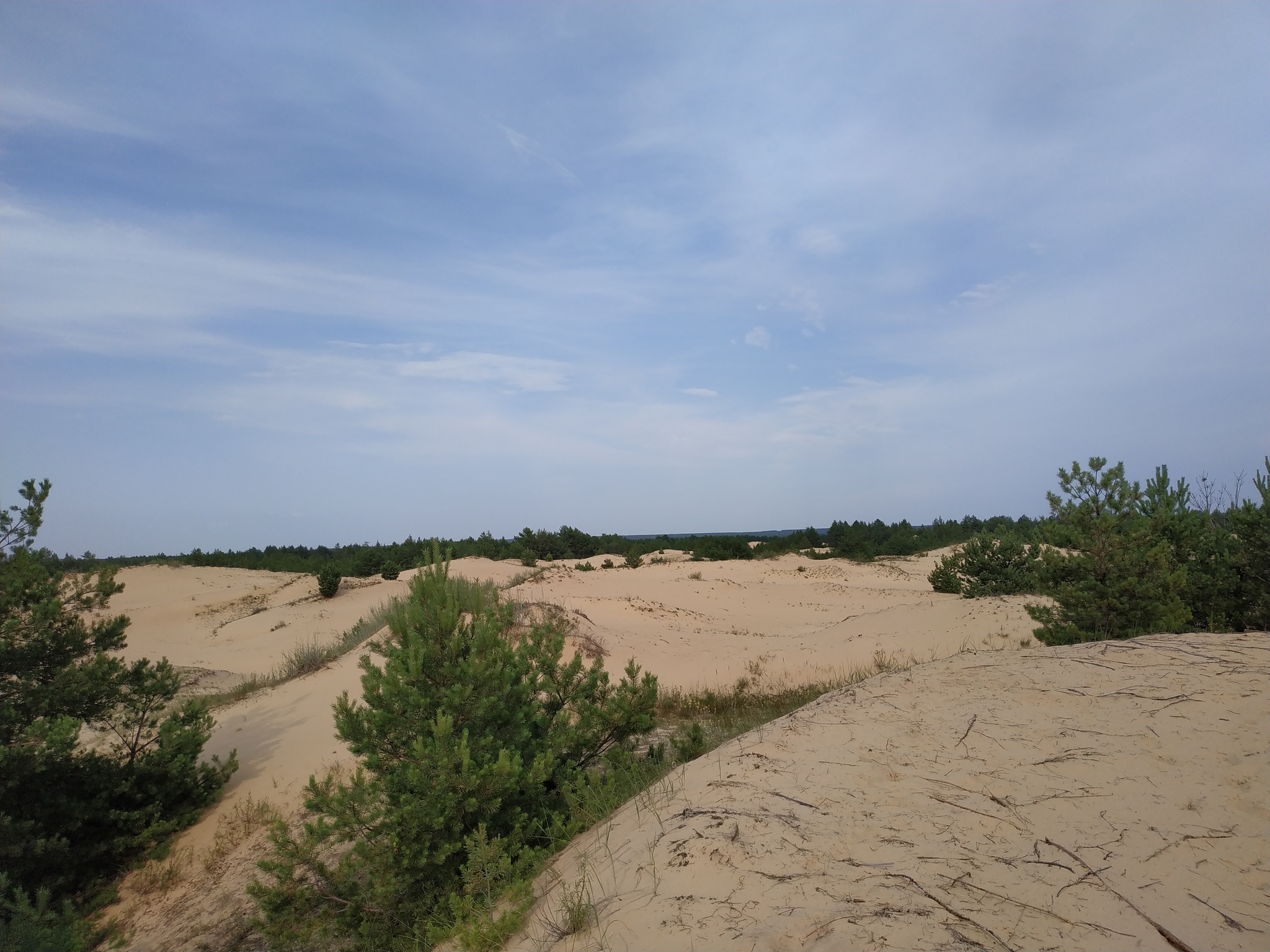 Донская сахара | Пикабу