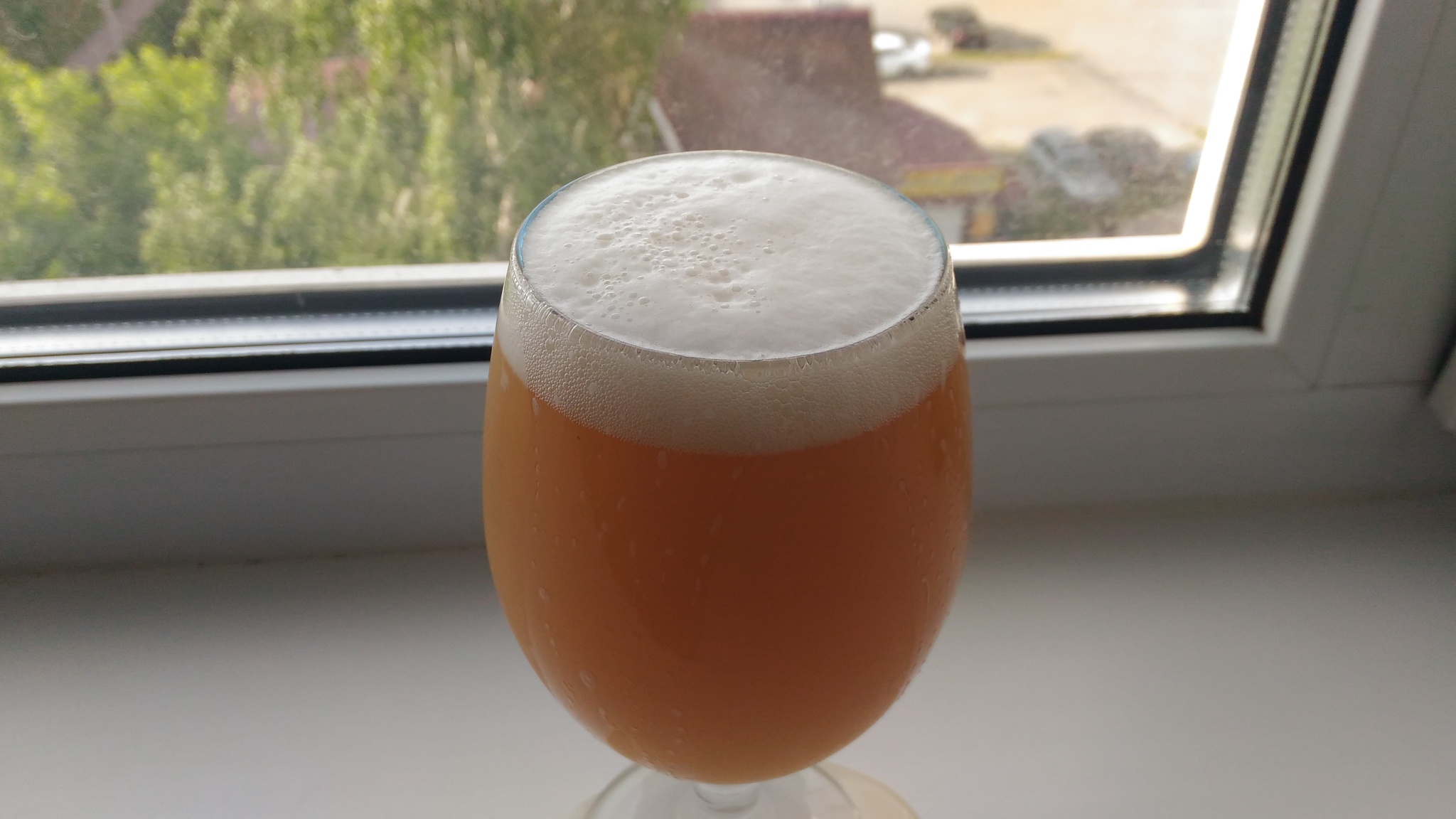 Варим пиво NeIPA - 